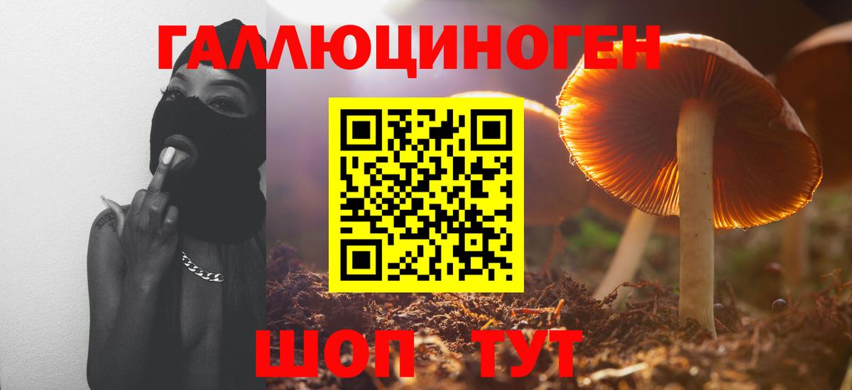 Псилоцибиновые грибы прущие грибы  Вход с VPN  Междуреченск  Галлюциногенные грибы ЛСД 